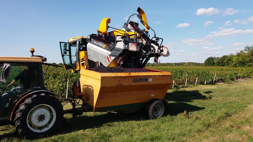 Domaine Du Papillon Acomodação com café da manhã Lesparre-Médoc Exterior foto