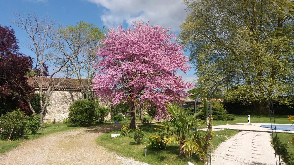 Domaine Du Papillon Acomodação com café da manhã Lesparre-Médoc Exterior foto